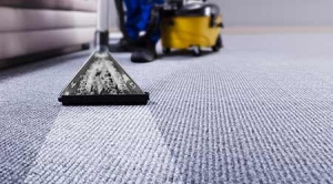Benefits of Carpet Cleaning Services