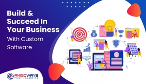 Build & Succeed In Your Business With Custom Software — Amigoways