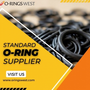 Metric O-Ring Supplier Can Customize Your Molded Parts | O Rings West