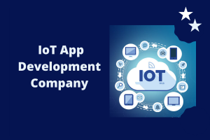 How to Choose a IoT Development Company for Your Business
