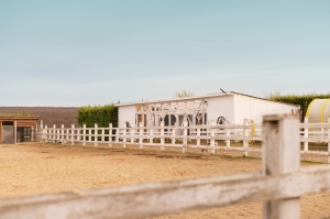 Common mistakes in buying horse property Common mistakes in buying horse property