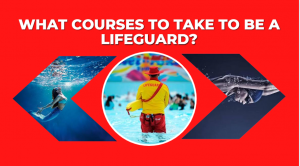What is a lifeguard course?