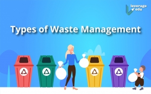 What are the different types of waste management?