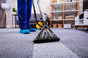 What Kind Of Professional Carpet Cleaning Is Best?