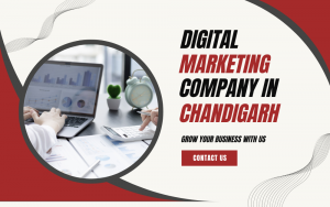 A Complete Guide About Digital Marketing Company and Services