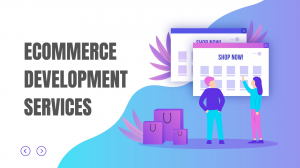 What is the role & importance of E-commerce Development?