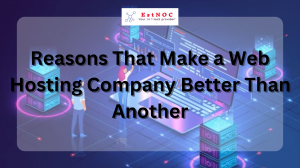 Reasons That Make a Web Hosting Company Better Than Another