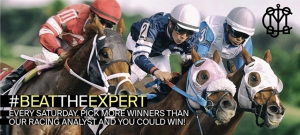 How to Find the Best Horse Racing Experts