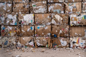 The problem of garbage on Earth - paper waste