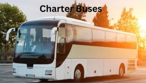 Charter Buses Vs. Entertainer Buses: What's The Difference?