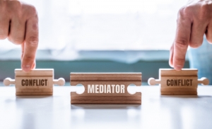 family mediator mediation is an appropriate method