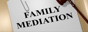 Family Mediator