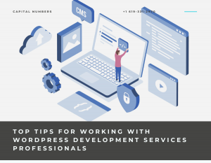Top Tips for Working with WordPress Development Services Professionals
