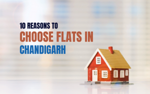 10 Reasons to choose Flats in Chandigarh