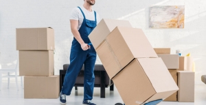 What factors affect the cost of hiring packers and movers in Rohtak?