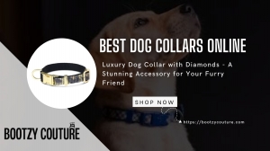 Don't Be a Fool, Get Your Dog the Best Collar Possible: The Diamond Dog Collar