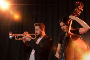 How a Harp Can Elevate Your Event to the Next Level How a Harp Can Elevate Your Event to the Next Level
