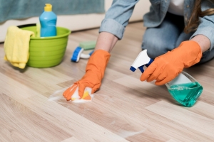 Carpet Cleaning in Jacksonville - Home Essentials