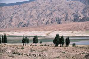 Inspired by the Silk Road: Motivation and Mindfulness on a Turkmenistan Tour Inspired by the Silk Road: Motivation and Mindfulness on a Turkmenistan Tour