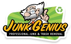 Genius Junk 