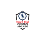 Control Adelaide  Tom's Pest 