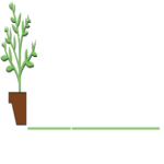 garden Bayside