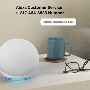 Alexa Customer Service Number +1-817-464-8883