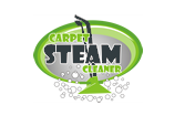 Cleaner Carpet