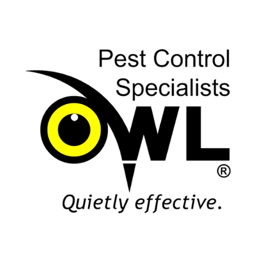 Owl Pest Control