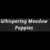 puppies whisperingmeadow