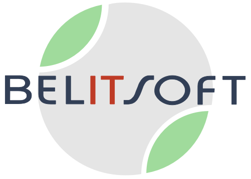 Software Development Company Belitsoft