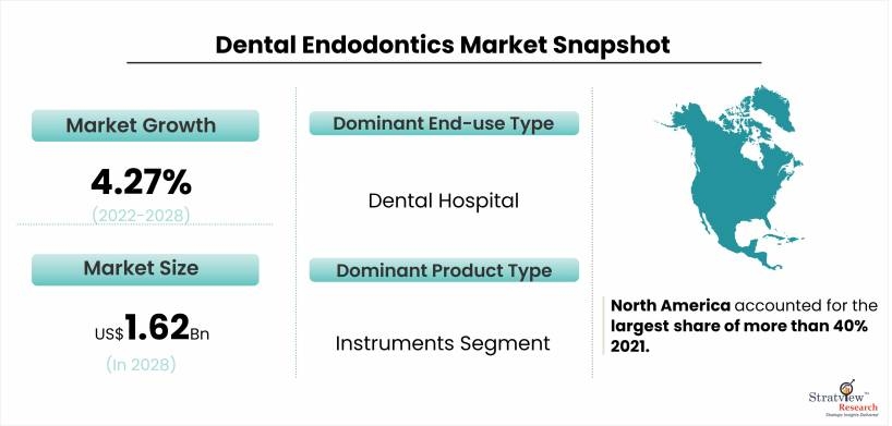 Dental endodontics Market Pegged for Robust Expansion by 2028