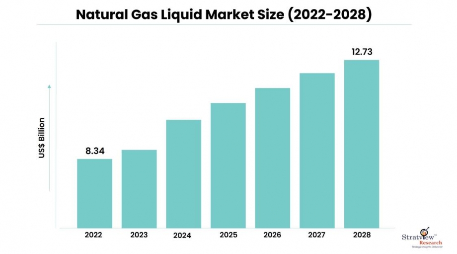 Natural Gas Liquid Market Size, Emerging Trends, Forecasts, and Analysis 2023-2028